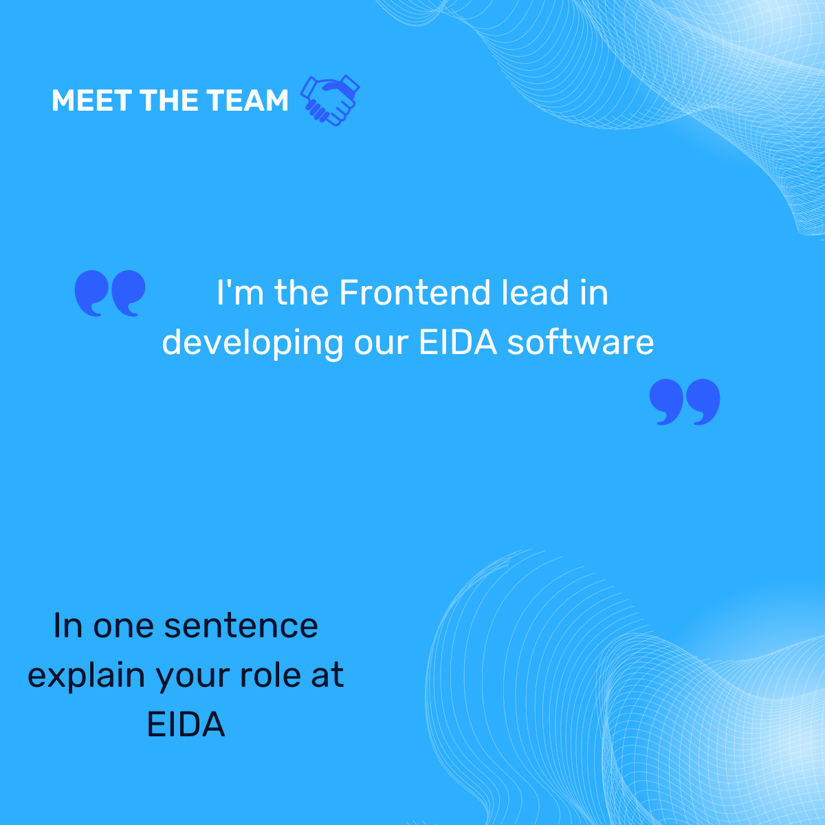 In one sentence explain your role at EIDA