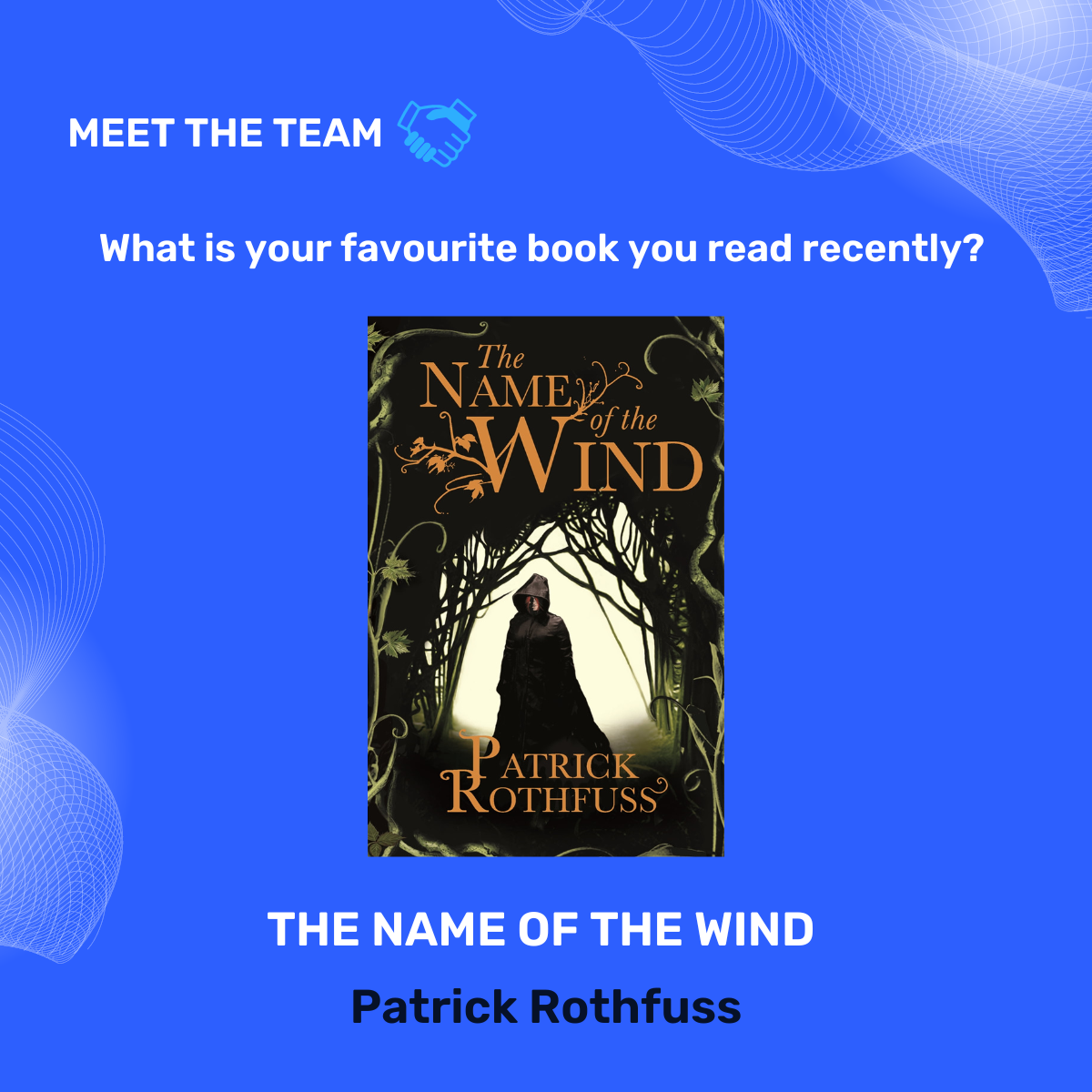 Meet the team