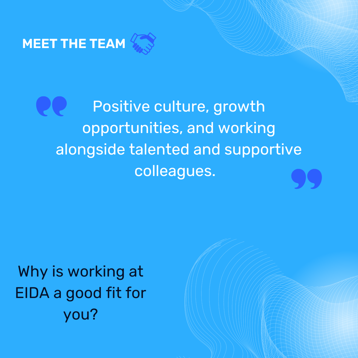 Meet the team